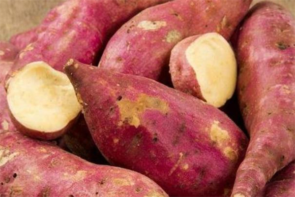 红薯发霉有毒吗,为什么红薯会发霉