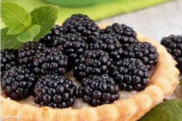 桑葚一般多少钱一斤,桑葚多少钱一克 桑葚一般多少钱一斤,桑葚多少钱一克