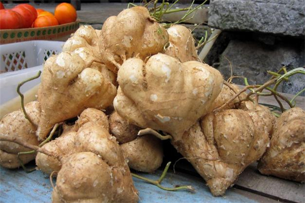 凉薯和苹果谁热量高,凉薯的热量高吗