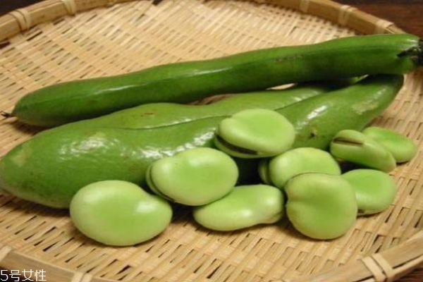 蚕豆的热量是多少,蚕豆热量表 蚕豆的热量是多少,蚕豆热量表