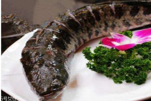 黑鱼多少钱一斤呢,黑鱼多少钱一公斤