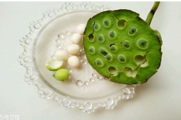 莲蓬什么时候成熟季节,莲蓬在哪个季节成熟