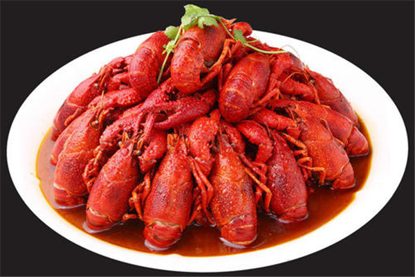 小龙虾的生存能力,小龙虾的生存环境