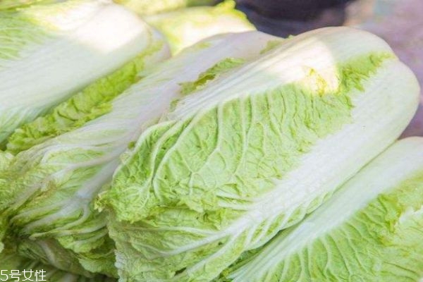 哪些人不能吃大白菜,什么人不适合吃大白菜