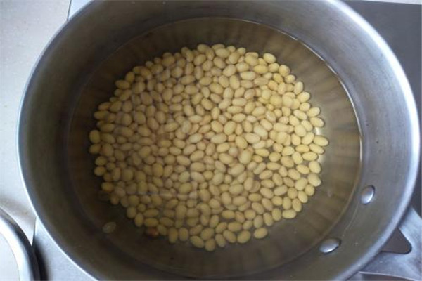 豆浆的饮食禁忌,豆浆忌食什么