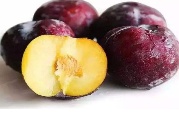 孕妇可以吃黑布林吗,孕妇可以吃黑布林吗早期