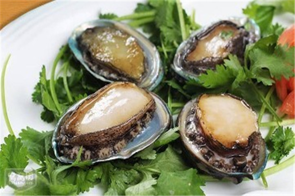 鲍鱼几头鲍最好,最贵,鲍鱼几头最贵 鲍鱼几头鲍最好,最贵,鲍鱼几头最贵