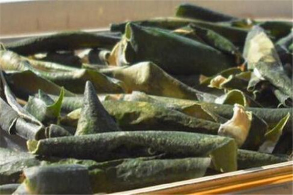 冬瓜皮敷脸的作用和功效,冬瓜皮敷脸有什么好处