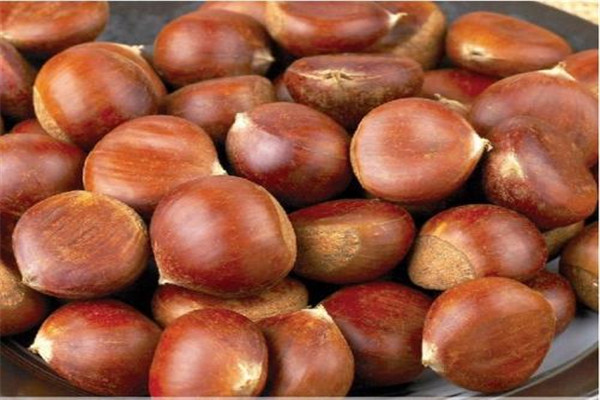 板栗可以放冰箱冷藏吗?,新鲜板栗可以放冰箱冷冻里保存吗