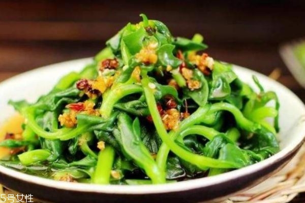 孕妇可以吃穿心莲吗?,孕妇可以吃穿心莲菜吗