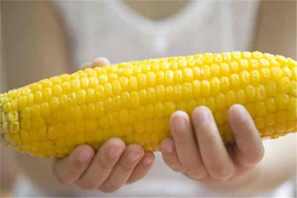 玉米的功效和作用及营养价值,玉米的功效和作用禁忌
