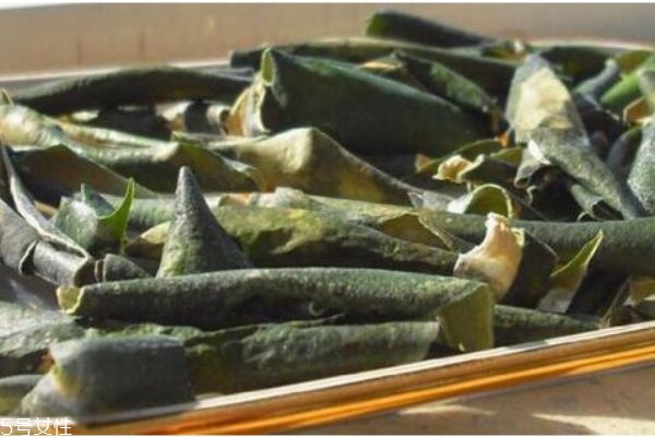 冬瓜皮的好处,冬瓜和冬瓜皮哪个功效好