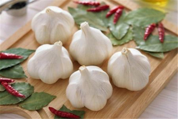 食用大蒜的好处和坏处,食用大蒜的好处