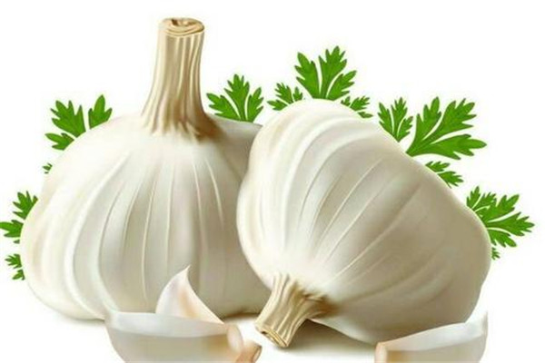 生吃大蒜的禁忌,生吃大蒜的功效和禁忌