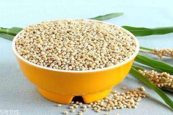 什么样的高粱米最好,高粱米好吃吗