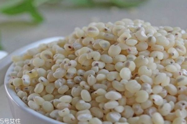 高粱米的作用,高粱米有什么营养和功效