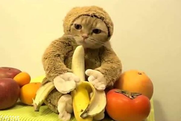 香蕉热量高吗多少,香蕉的热量高不高