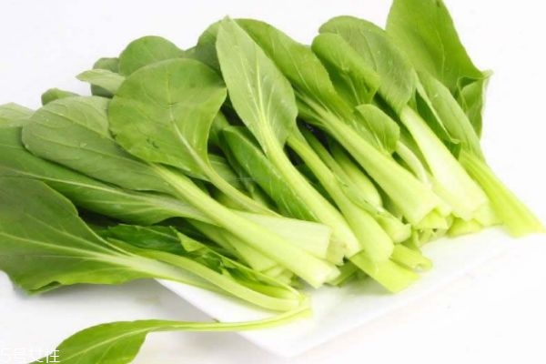 鸡毛菜几月份种植,鸡毛菜季节