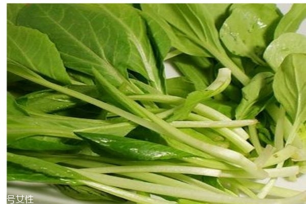 鸡毛菜的作用,鸡毛菜有什么营养