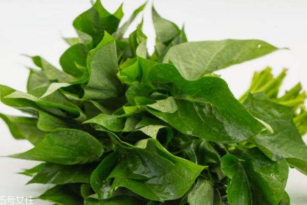 红薯叶怎么做才好吃,红薯叶怎么吃好吃又简单又好吃