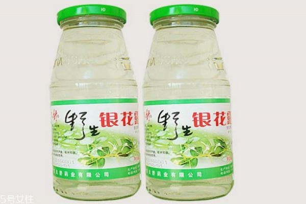 金银花露的成分及作用,金银花露是什么东西