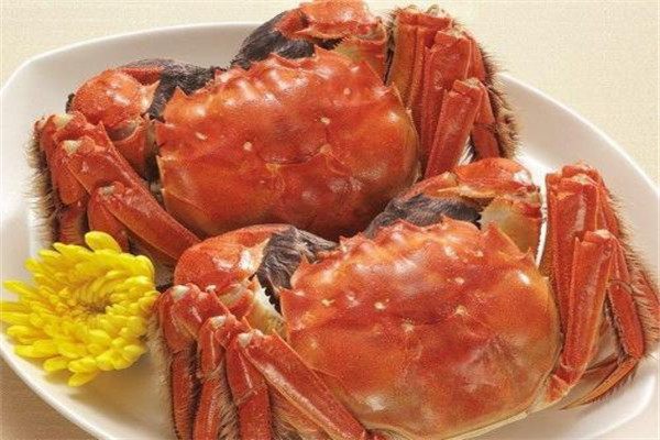 吃大闸蟹的注意事项,大闸蟹的食用方法及禁忌