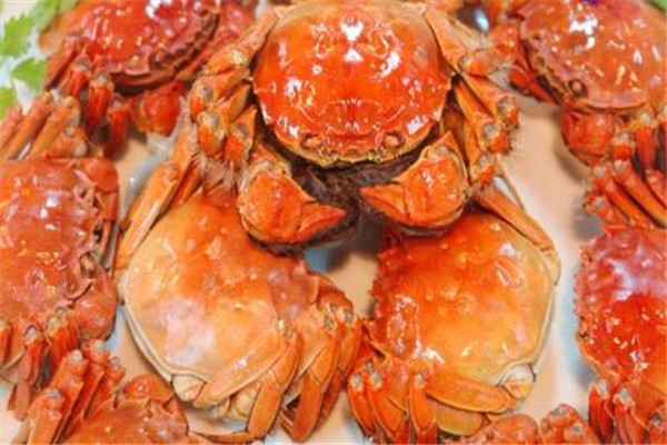 清蒸大闸蟹的正确做法,清蒸大闸蟹的做法步骤