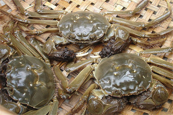 蒸好的大闸蟹怎么吃,第一次吃大闸蟹怎么吃