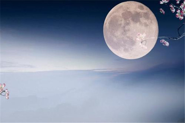 月饼用什么面粉,月饼粉可以做什么 月饼用什么面粉,月饼粉可以做什么