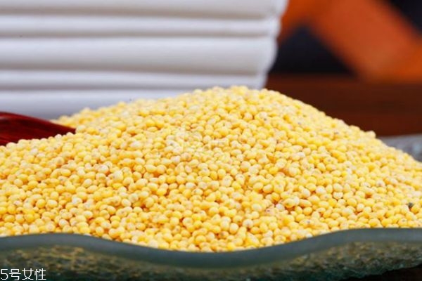 小米和黄米有什么区别,黄小米和黄米和小米区别