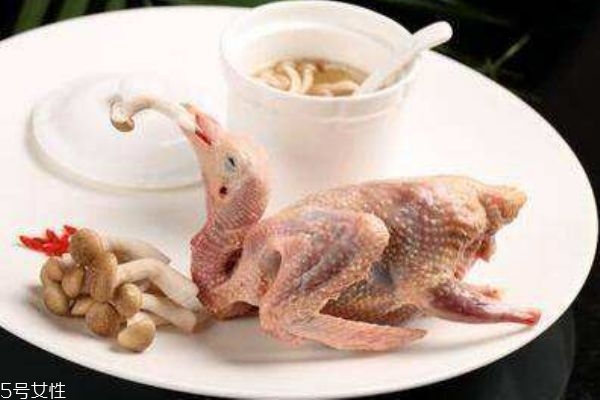 鸽子肉功效作用,鸽子肉有什么营养和功效 鸽子肉功效作用,鸽子肉有什么营养和功效