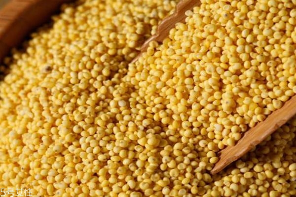 吃小黄米有什么好处,吃大黄米有什么好处?