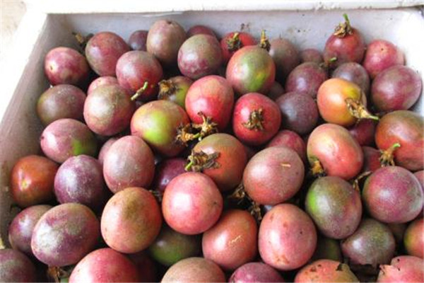 百香果的功效和作用,百香果的功效和作用及食用方法