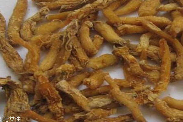 玉竹的营养价值,玉竹的价值