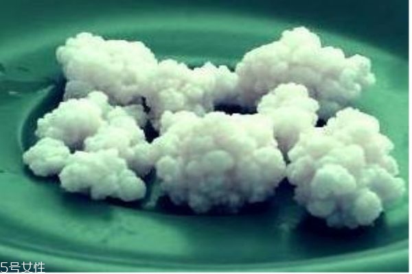 雪莲菌怎么食用方法,雪莲菌怎么喝