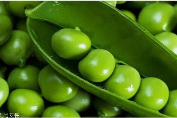 青豆有什么功效和作用,青豆的功效和作用点