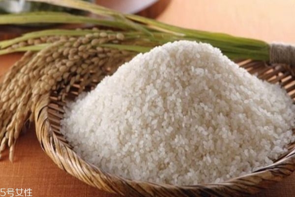 江米有什么作用和功效,江米功效和作用及食用方法 江米有什么作用和功效,江米功效和作用及食用方法