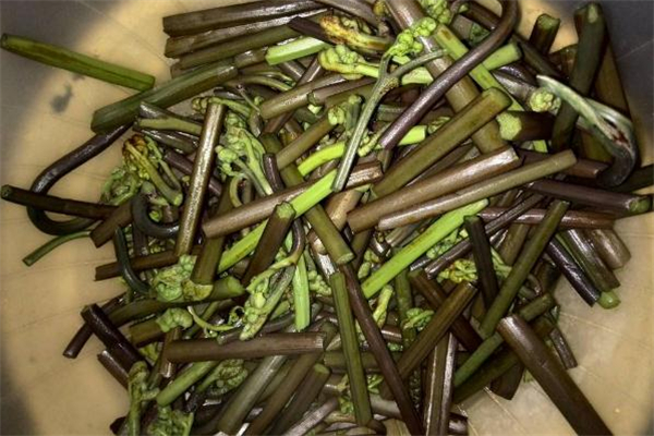 吃蕨菜过敏了怎么办,吃蕨菜过敏了怎么办最快方法