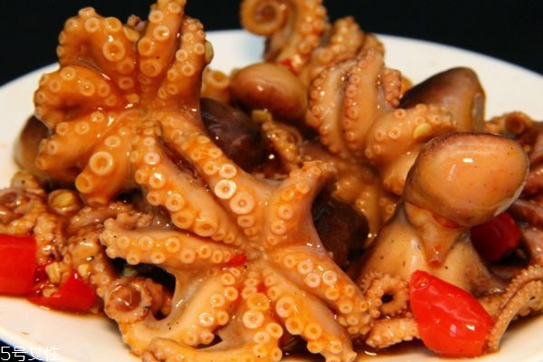 八爪鱼有啥营养价值,八爪鱼的营养价值及功效总结 八爪鱼有啥营养价值,八爪鱼的营养价值及功效总结