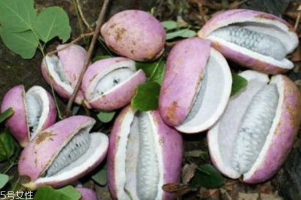 八月炸有什么作用,八月炸有什么作用和功效