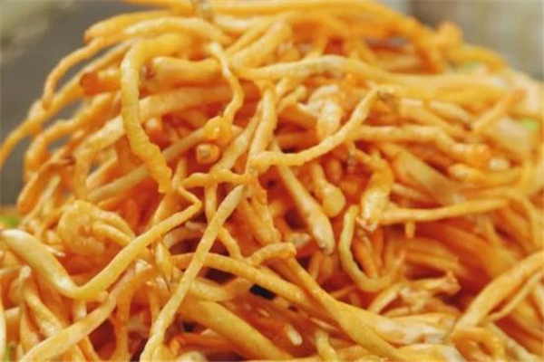 虫草花能长期泡水喝吗,虫草花可以直接泡水喝吗