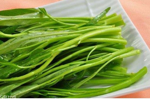 空心菜的功效,空心菜的功效和作用及禁忌 有哪些