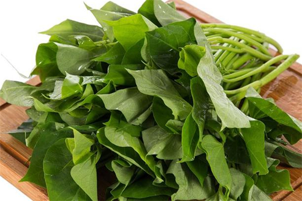 红薯叶可以放多久,红薯叶怎样保存能长久