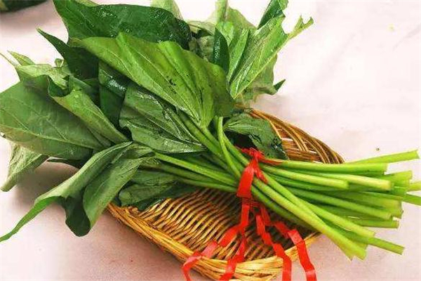 红薯叶没炒熟会中毒吗,红薯叶生吃有毒吗