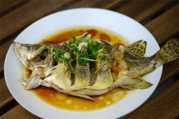 桂鱼和鲈鱼哪个好养殖,桂鱼和鲈鱼哪个好吃 桂鱼和鲈鱼哪个好养殖,桂鱼和鲈鱼哪个好吃