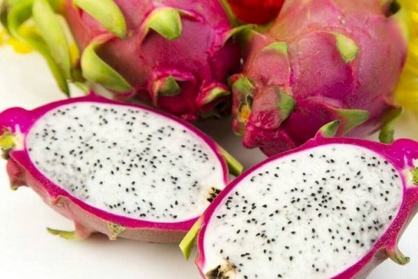 火龙果的价值,火龙果意义