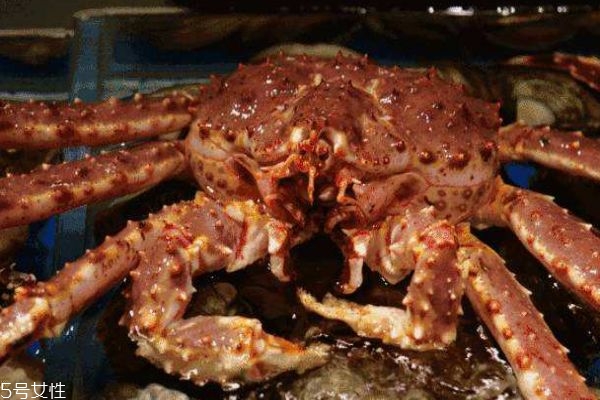 市面上的帝王蟹是哪里产的,帝王蟹的产地是哪里