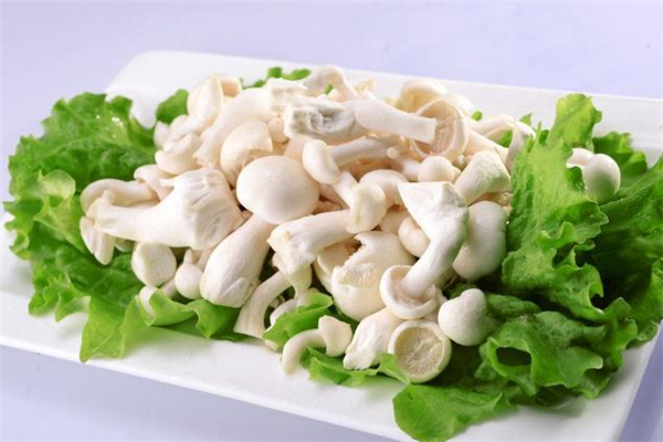 白玉菇的做法大全,炒白玉菇的做法