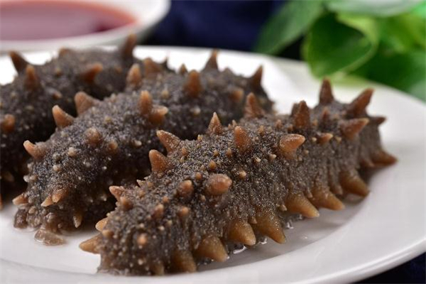 伏天吃海参好不好,冬天吃海参的好处