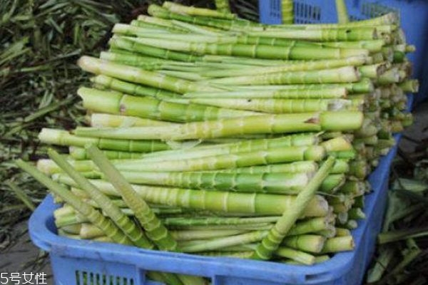 竹笋的作用和功效,竹笋有什么功效和营养